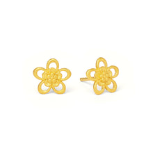 Cerosa Studs