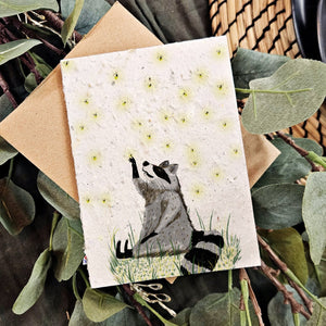 Raccoon and Fireflies Nature Card