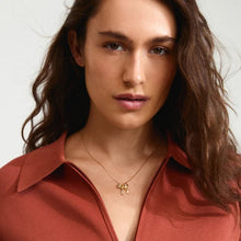Cassian Collection