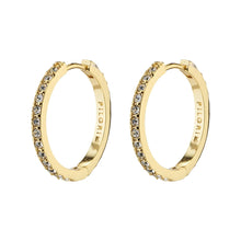 Ebna Medium Crystal Hoop Earrings