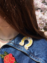 Horseshoe Brooch Pin