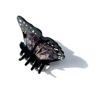Monarch Butterfly Midnight