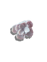 Gardenia Claw Hair Clip