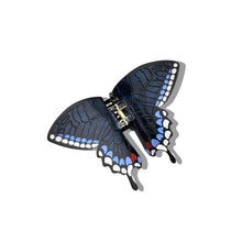 SWALLOWTAIL BUTTERFLY NAVY