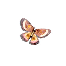 Emperor Silk Moth Brown