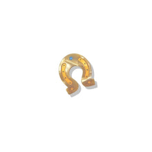 Horseshoe Brooch Pin