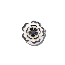 Dianthus Gripcharm