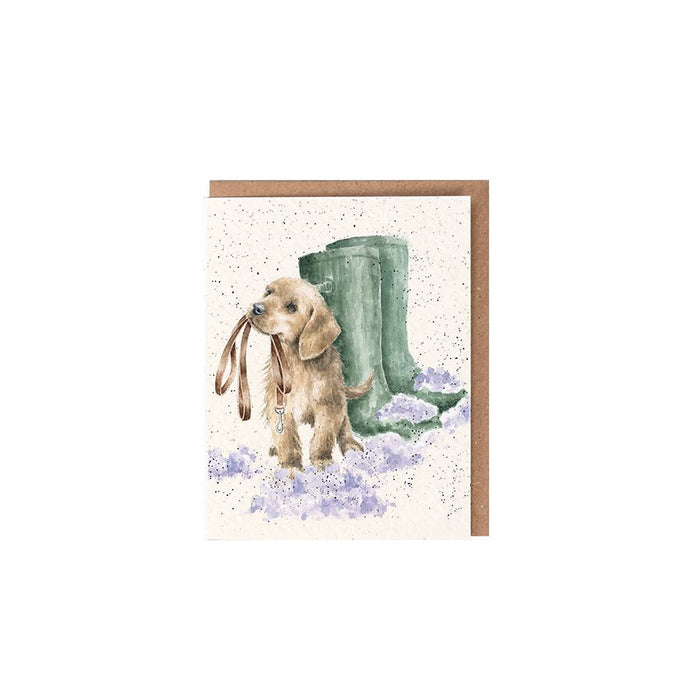 The Winter Walk Enclosure Card