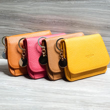 Seashell Wallet