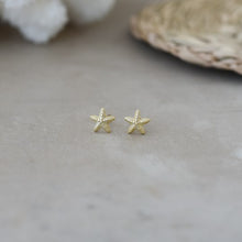 Baby Starfish Studs