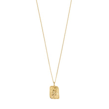 Zodiac Necklace Collection