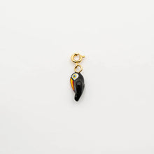 Toucan Charm