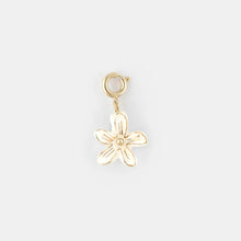 White Nerine Charm