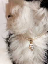 Dog Charms