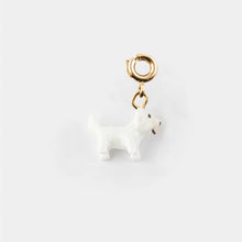 Coton de Tulear Charm 