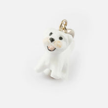 Coton de Tulear Charm 1