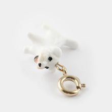 Coton de Tulear Charm 2