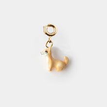 Chihuahua Charm