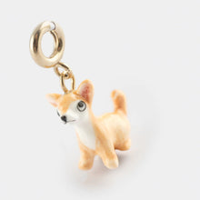 Chihuahua Charm 1