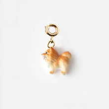 Spitz Charm 