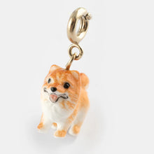 Spitz Charm 1