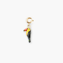 Tropical Toucan Charm