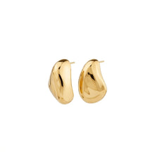 Dune Chunky Earrings