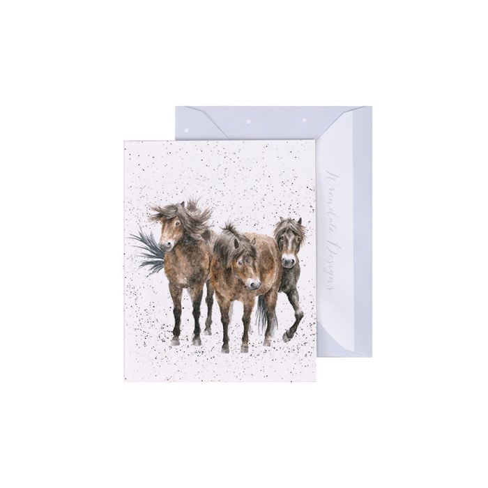 Three Amigos Enclosure Card
