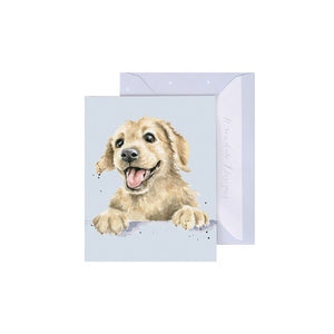 Golden Boy Labrador Enclosure Card