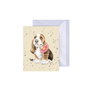 Just for You Basset Hound Enclosure Card
