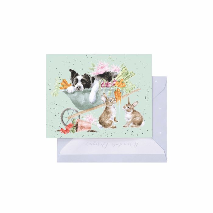 Sleeping on the Job Border Collie & Rabbit Enclosure Card