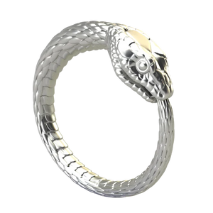 Infinity Snake Ring