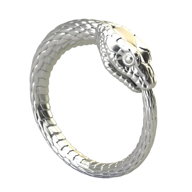 Infinity Snake Ring