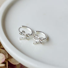 Papillon Hoops