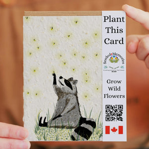 Raccoon and Fireflies Nature Card