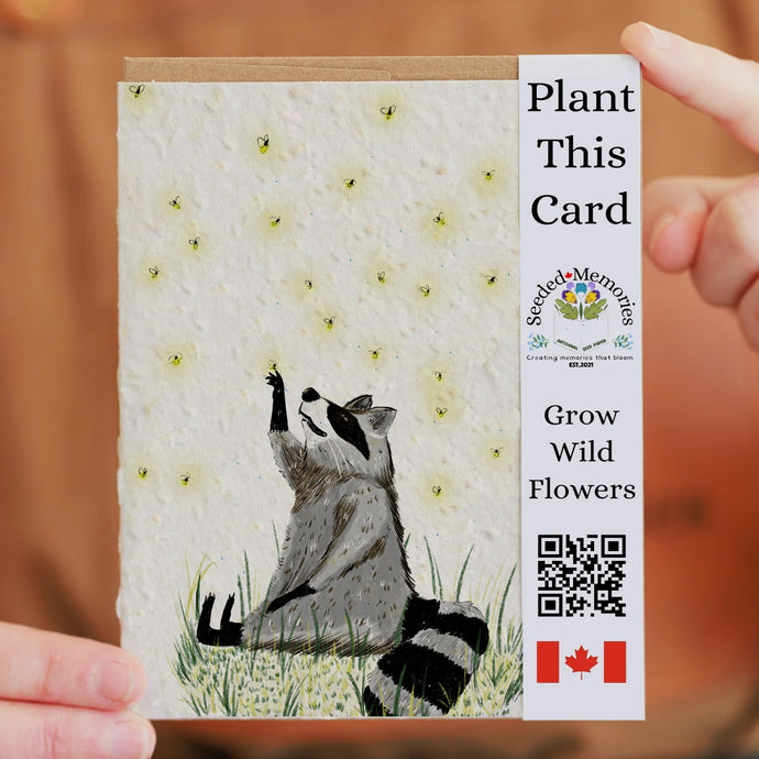 Raccoon and Fireflies Nature Card