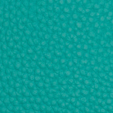 Seashell Wallet
