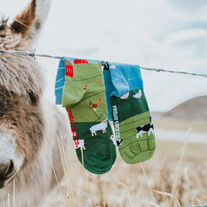 Barnyard Scene Men's Socks