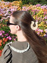 Horseshoe Claw Hair Clip