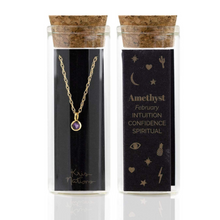 Kris Nations Amethyst Charm Necklace Gold N778-G-AME