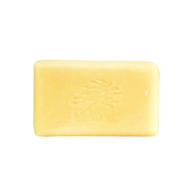 Soapstones Enliven Bar Soap 114