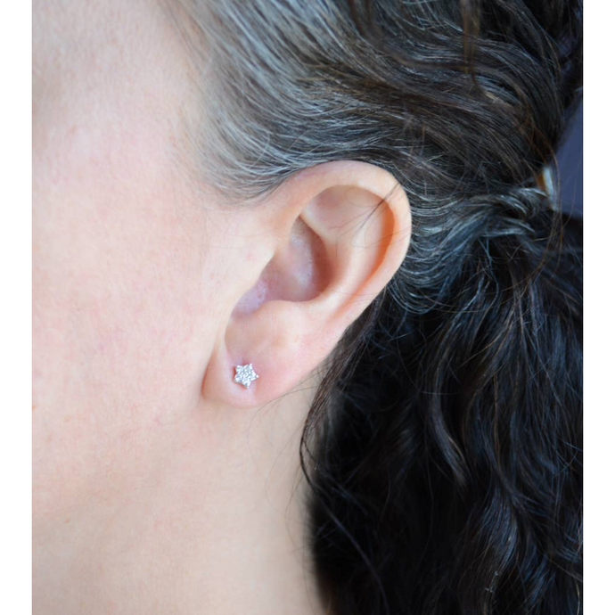 AJS CZ Star Studs N383-E SS STAR