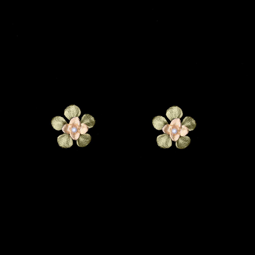 Silver Seasons Desert Flower Studs 3645BZ