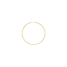Laughing Sparrow Full Hoops Sleeper Earrings Gold 143