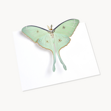 Up With Paper Luna Moth Card AL014
