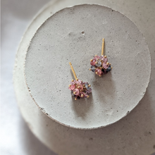 Kate Wood Pompom Pastel Spinel Studs Gold PP-E02-SPVY