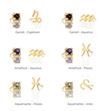 Kris Nations Birthstone & Zodiac Combo Studs E601/E669